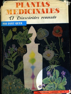 espejo_PLANTAS MEDICINALES001